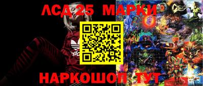 гидра Славянск-на-Кубани