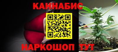 гидра Славянск-на-Кубани