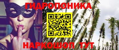 гидра Славянск-на-Кубани